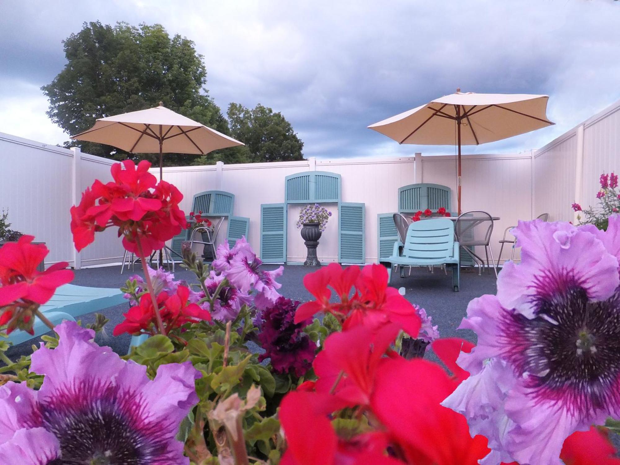 Windsor Motel Lake George Dış mekan fotoğraf